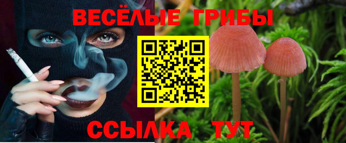 Галлюциногенные грибы GOLDEN TEACHER  Вход с VPN  Вольск 