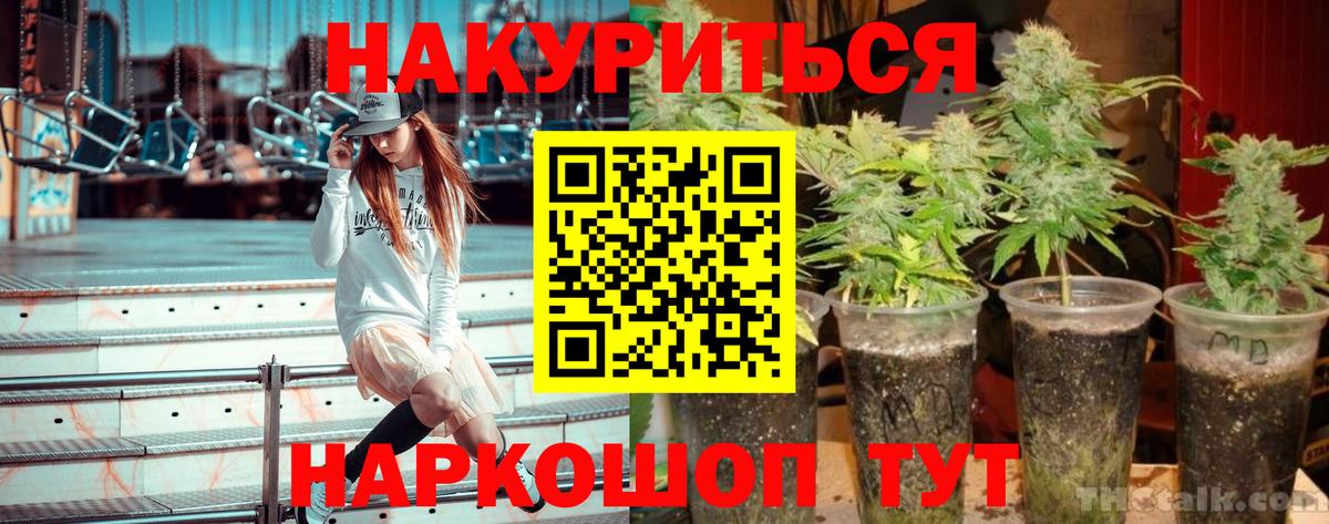 МАРИХУАНА SATIVA & INDICA  Шишки марихуана ГИДРОПОН  Бошки марихуана тримм  Вольск  Вход с VPN  Марихуана THC 21% 